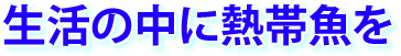 生活の中に熱帯魚を